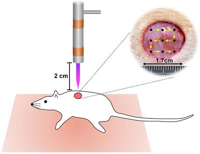 Helium/Argon-Generated Cold Atmospheric Plasma Facilitates Cutaneous Wound Healing